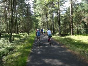bis zum Branitzer Park (Bild: 1/3)